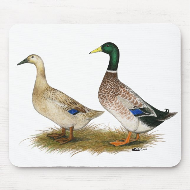 Mousepad Patos: Silver Welsh Harlequin (Frente)
