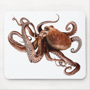 Mousepad Paul o polvo