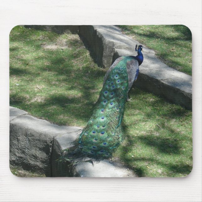 Mousepad pavão (Frente)