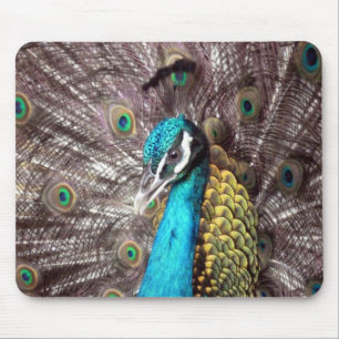 Mousepad pavão