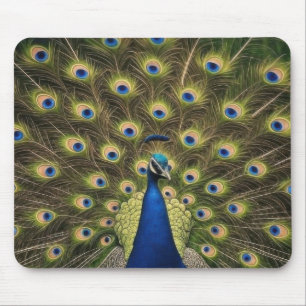 Mousepad Pavão Azul