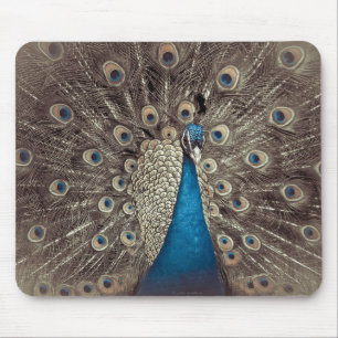 Mousepad Pavão Azul Antigo