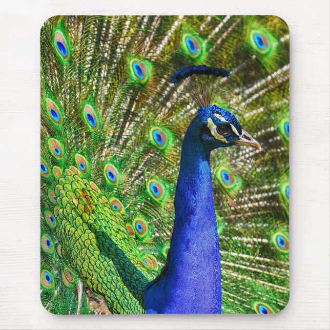 Mousepad Pavão azul brilhante (Frente)
