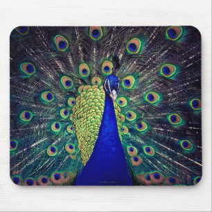 Mousepad Pavão Azul Cobalto