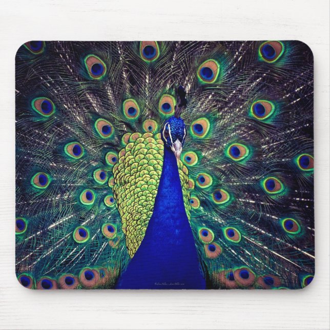 Mousepad Pavão Azul Cobalto (Frente)