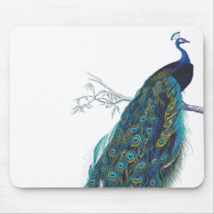 Mousepad Pavão azul com as penas de cauda bonitas