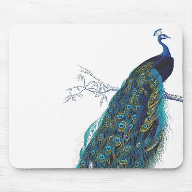 Mousepad Pavão azul com as penas de cauda bonitas (Frente)