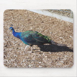mousepad Pavão Azul Indiano