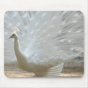 Mousepad pavão branco lindo
