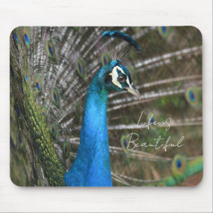 Mousepad Pavão de Kauai