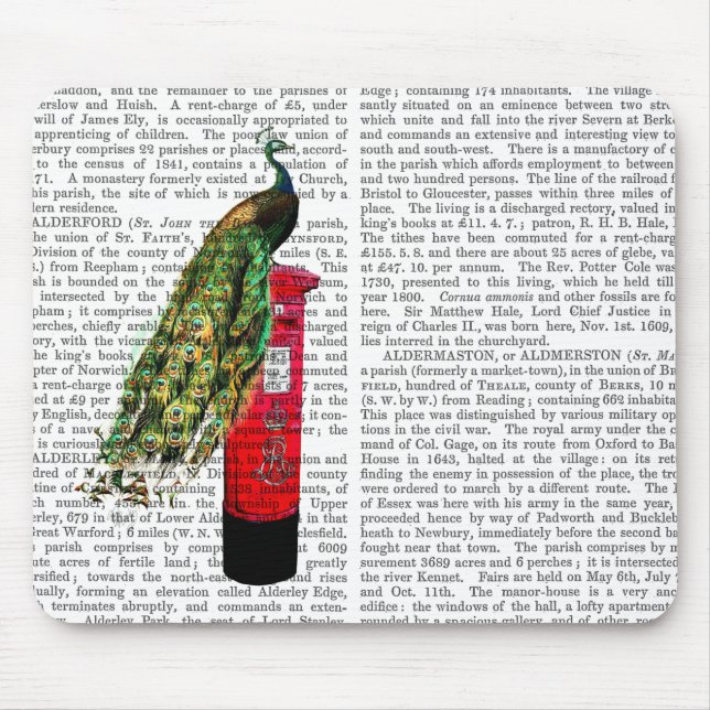 Mousepad Pavão na Caixa Postal (Frente)