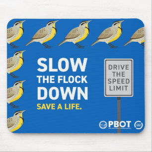 Mousepad PBOT Lentamente O Pad Do Mouse De Bloqueio