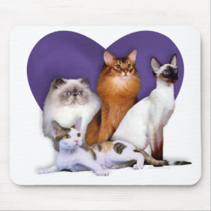 Mousepad PCBR Mousepad!
