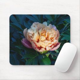 Mousepad Peach Peony, Soft Bloom Flower Photo