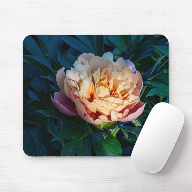 Mousepad Peach Peony, Soft Bloom Flower Photo (Com mouse)