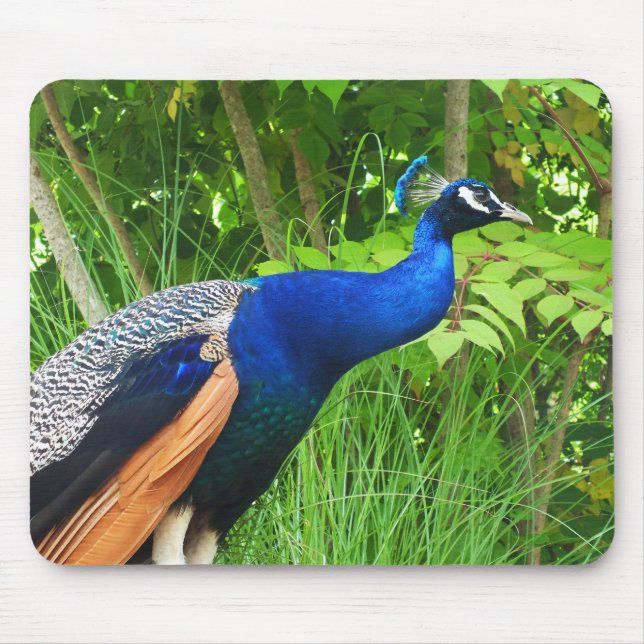 Mousepad Peacock (Frente)