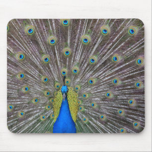 Mousepad Peacock