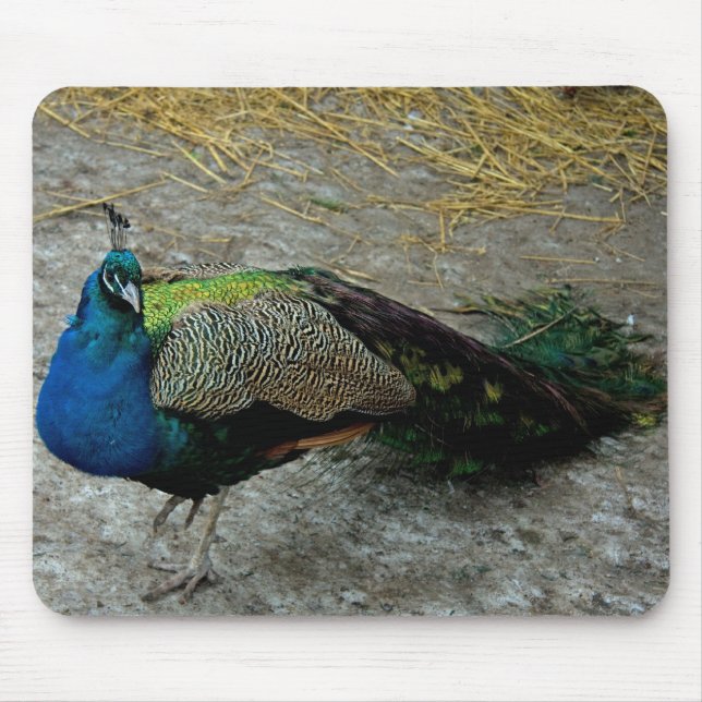 Mousepad Peacock (Frente)