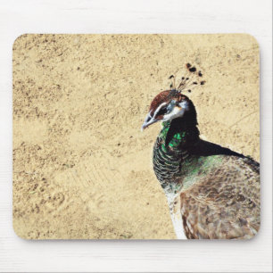 Mousepad Peacock