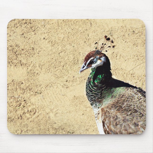 Mousepad Peacock (Frente)