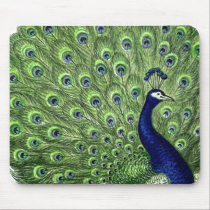 Mousepad Peacock bonito