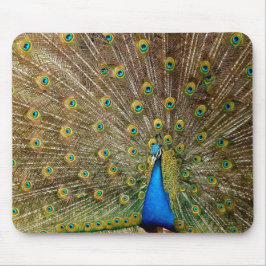 Mousepad Peacock Pattern Peacock Trabalho de arte Painting