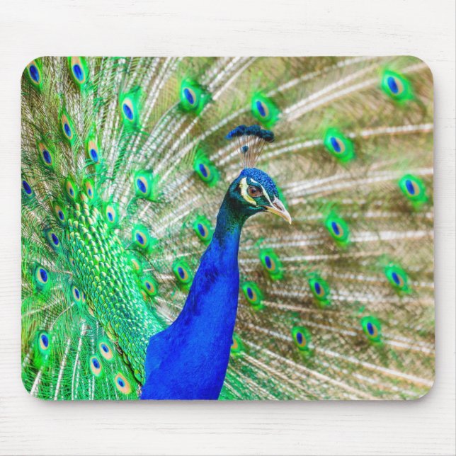 Mousepad Peacock Plumage (Frente)