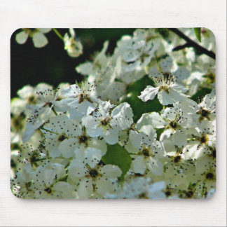 Mousepad Pear Blossoms em floração