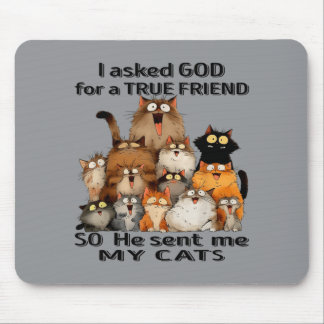 Mousepad Pedi a Deus um verdadeiro amigo Ele enviou gatinho