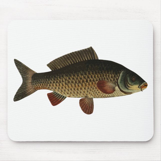 Mousepad Peixe (Frente)