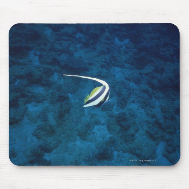 Mousepad Peixe 2 (Frente)