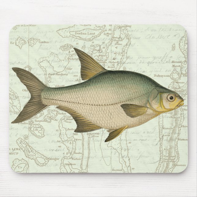 Mousepad Peixe água fresca no Mapa (Frente)