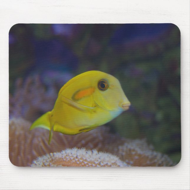 Mousepad Peixe Amarelo (Frente)