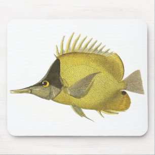 Mousepad Peixe Amarelo Tropical Chelmon Longirostris, Vinta