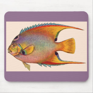Mousepad peixe-anjo
