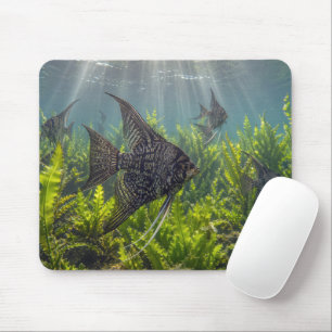 Mousepad Peixe-anjo de renda preta em algas