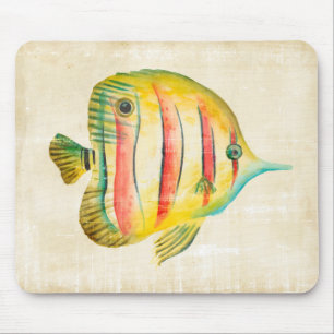 Mousepad Peixe Colorido