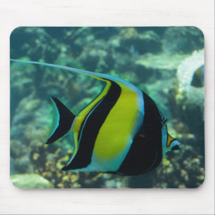 Mousepad Peixe de Banner Longo