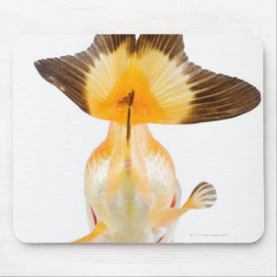 Mousepad Peixe dourado (auratus do Carassius) 2