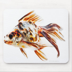Mousepad Peixe dourado do cometa do Fantail da chita
