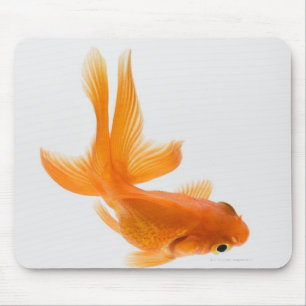 Mousepad Peixe dourado do Fantail (auratus do Carassius) 2