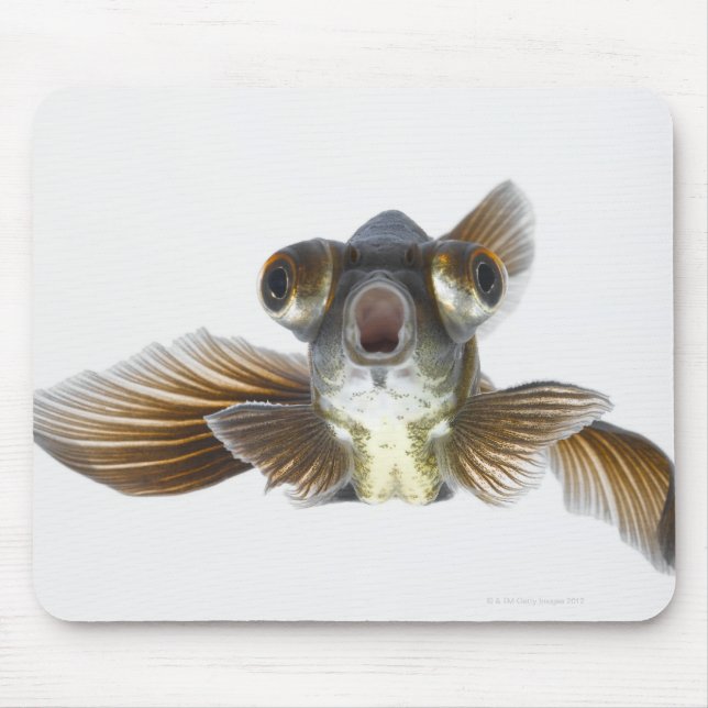 Mousepad Peixe-dourado-preto (Carassius auratus) (Frente)