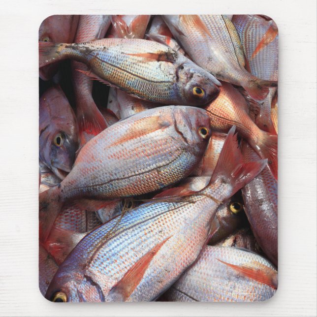 Mousepad Peixe fresco (Frente)