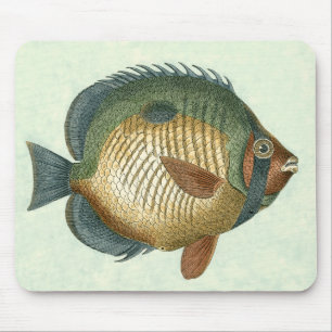 Mousepad Peixe Grande Colorido