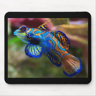Mousepad Peixe Mandarino