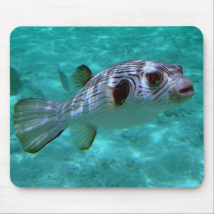 Mousepad Peixe-Pufe com revestimento estreito