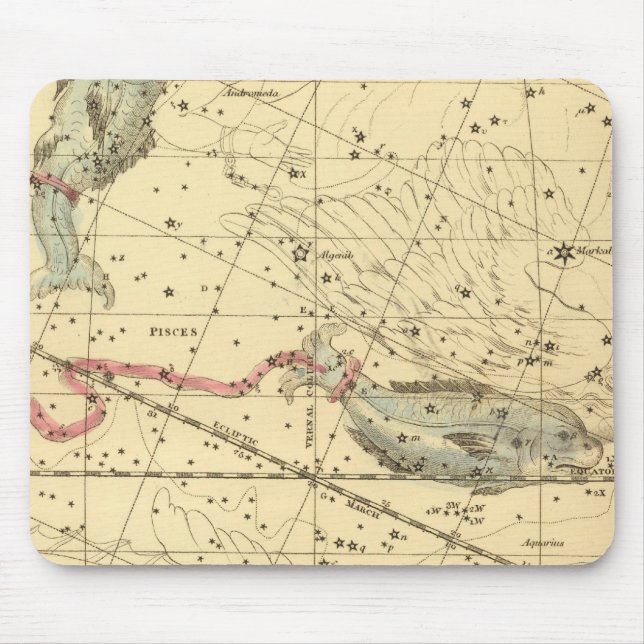 Mousepad Peixes (Frente)