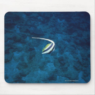 Mousepad Peixes 2