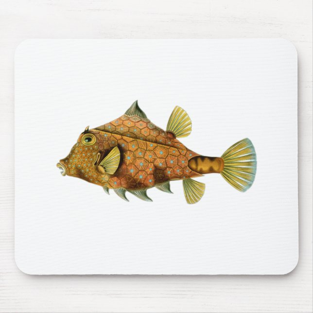Mousepad Peixes amarelos (Frente)