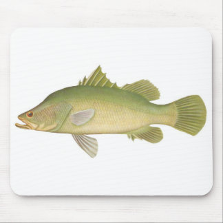 Mousepad Peixes - Barramundi - Calcarífero tardio